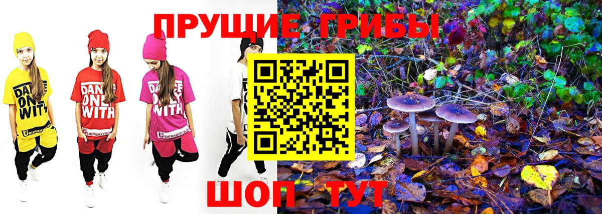 Псилоцибиновые грибы Magic Shrooms Кызыл