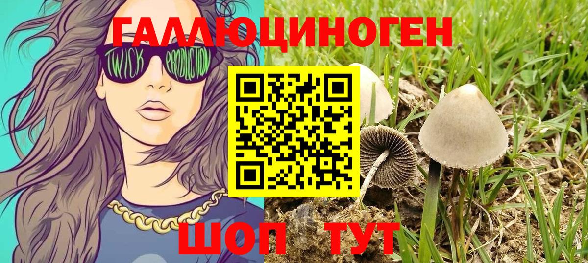 Кызыл  Галлюциногенные грибы прущие грибы  Вход с VPN 